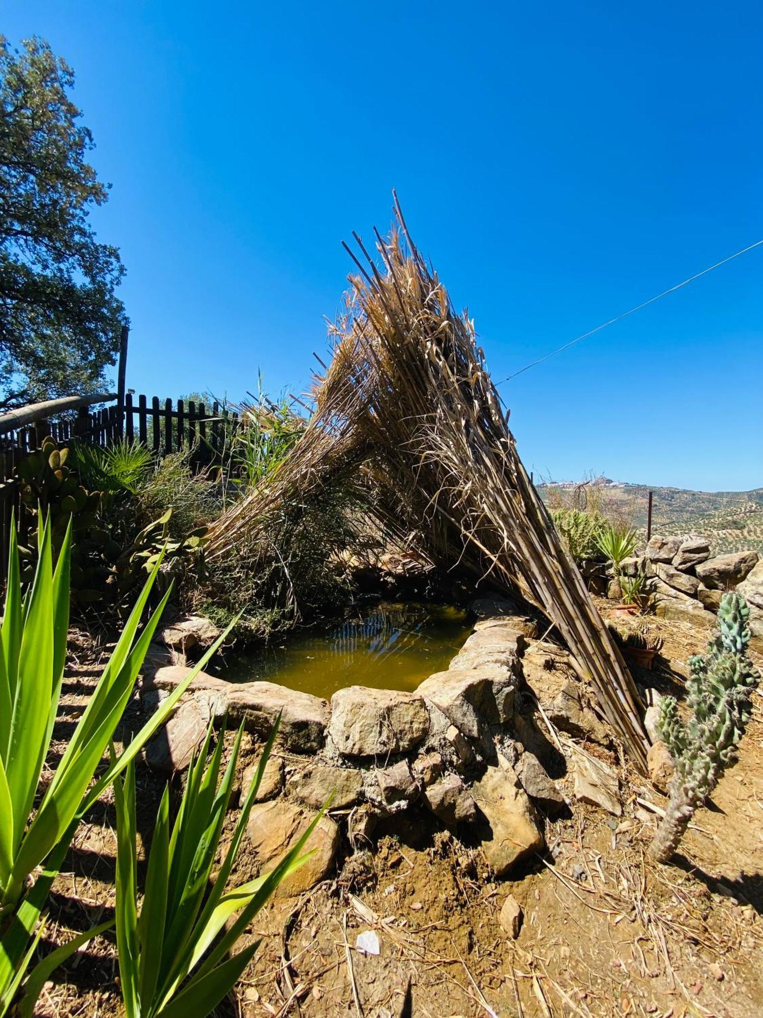 Casa Rural Privada El Mirador De La Sierra Pruna Exterior foto